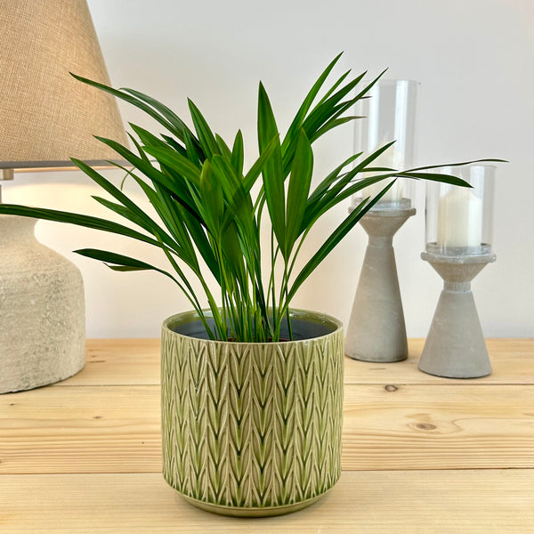 The Classic Herringbone Plant Pot