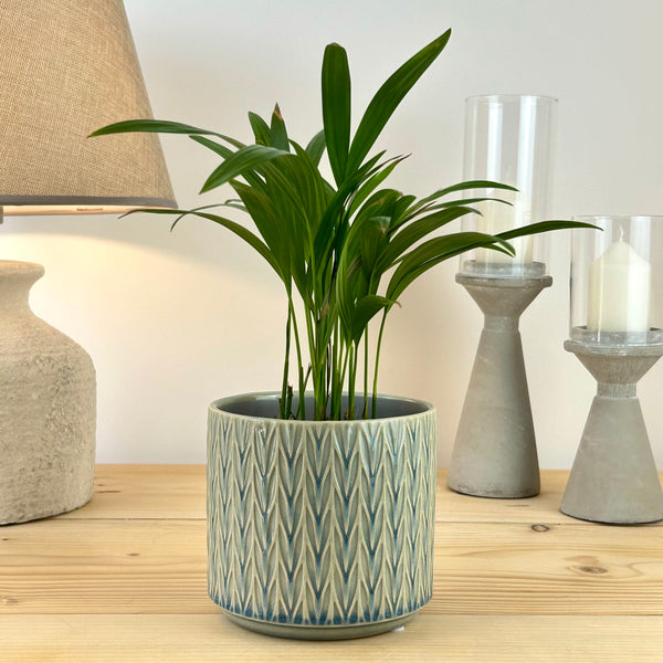 The Classic Herringbone Plant Pot