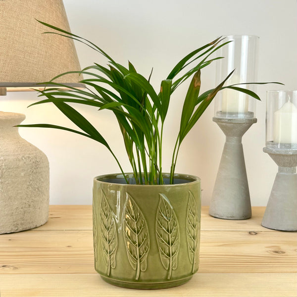 The Classic Bayleaf Plant Pot