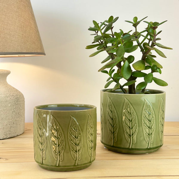 The Classic Bayleaf Plant Pot