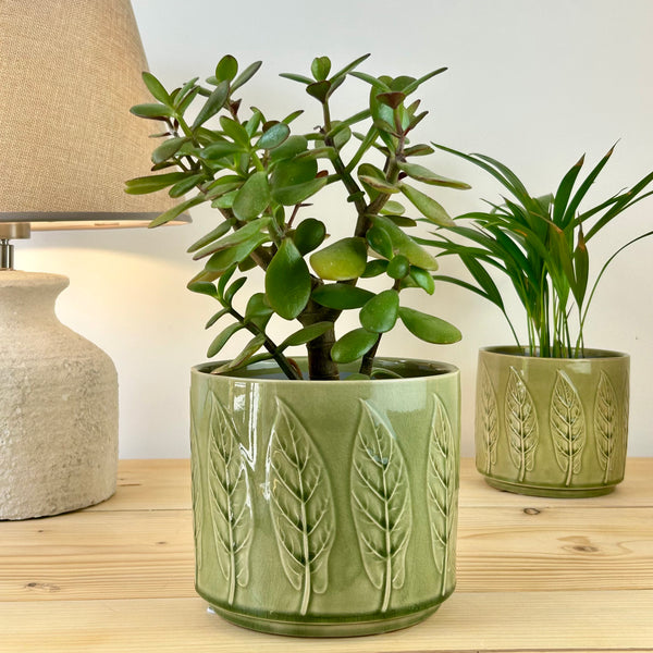 The Classic Bayleaf Plant Pot