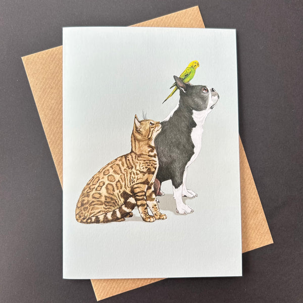 5" x 7" Cards