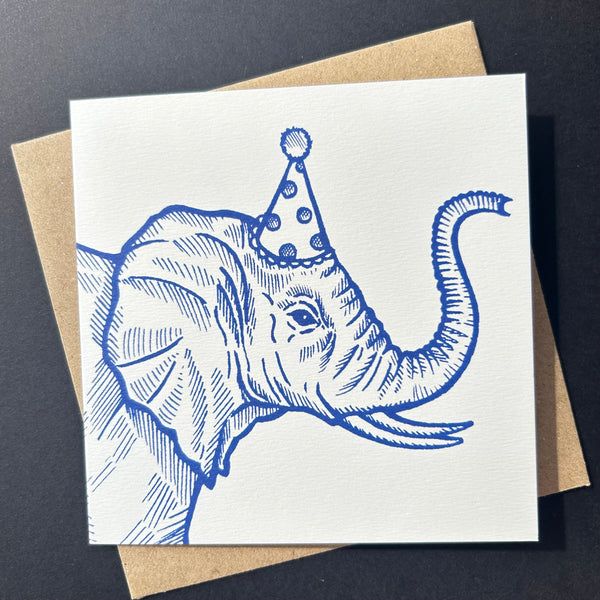 Animal Cards