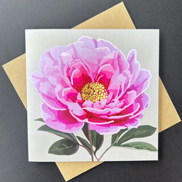Bright Floral and Butterfly Greeting Cards