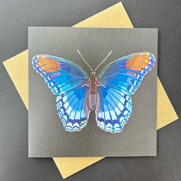 Bright Floral and Butterfly Greeting Cards