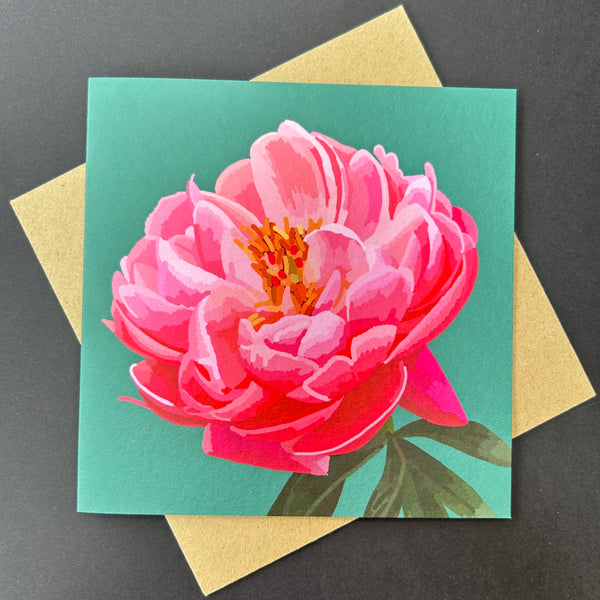 Bright Floral and Butterfly Greeting Cards