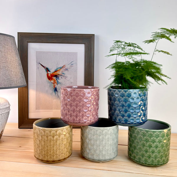 The Classic Hexagonal Plant Pot