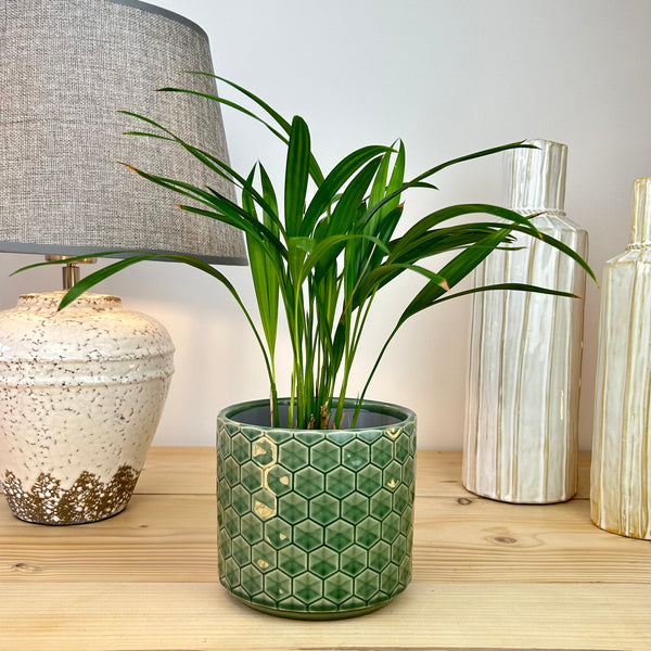 The Classic Hexagonal Plant Pot