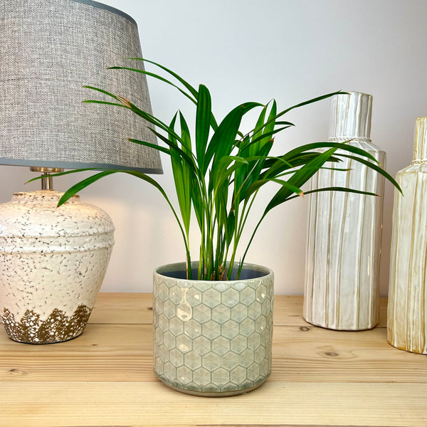 The Classic Hexagonal Plant Pot