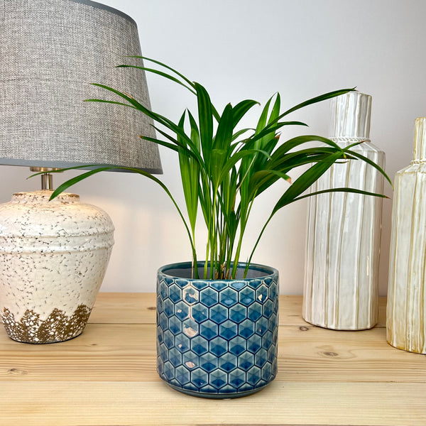 The Classic Hexagonal Plant Pot