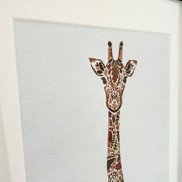 Giraffe Framed Print