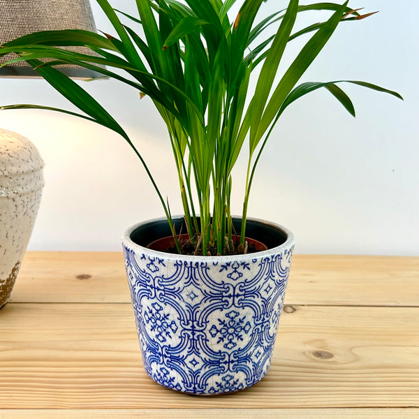 Blue Rustic Plant Pot