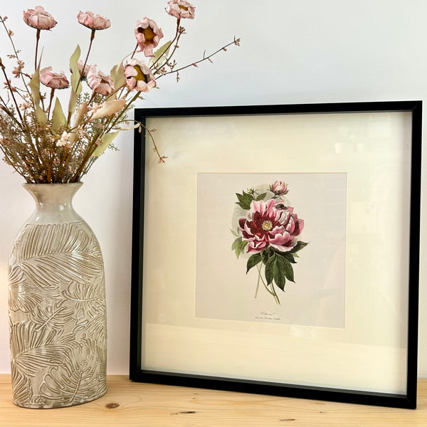 Peony Framed Print I