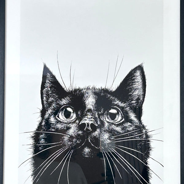 Curious Cat Framed Print