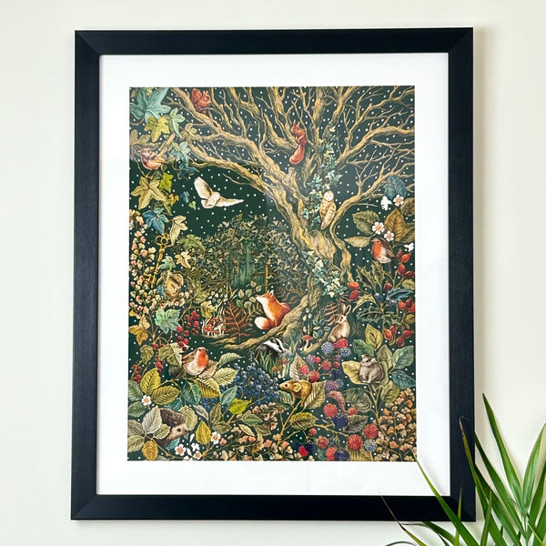 Midnight Forest Framed Print