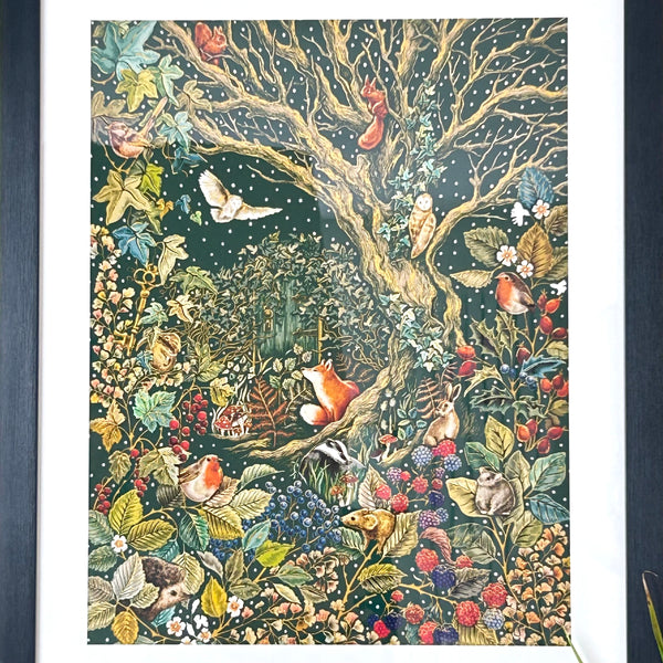 Enchanted Forest Framed Print