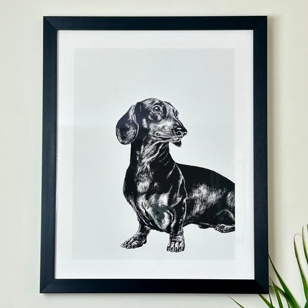 Curious Cat Framed Print