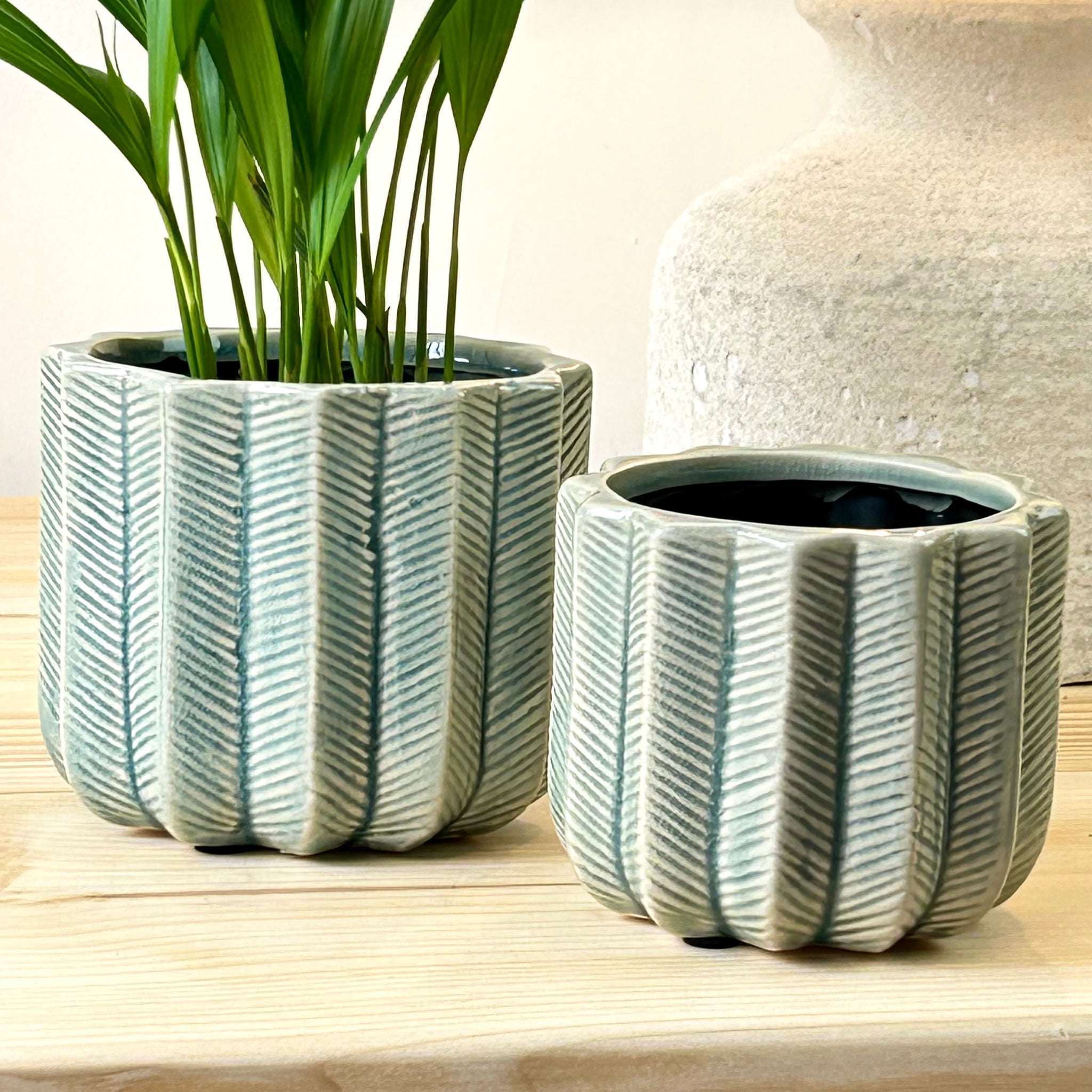 herringbone plant pot Herringbone Textured Plant Pot – Velvet Fern