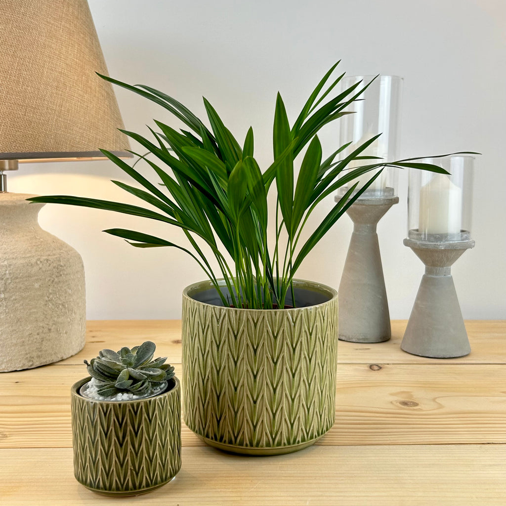 herringbone plant pot The Classic Herringbone Plant Pot – Velvet Fern