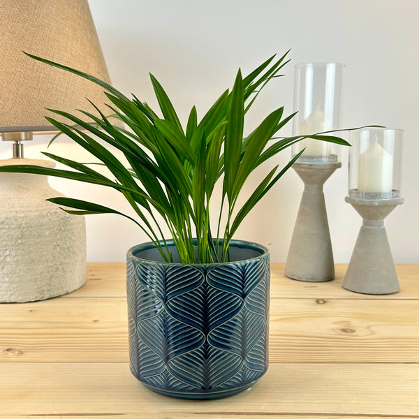 The Classic Wave Plant Pot