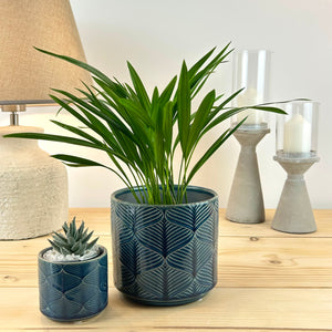 The Classic Wave Plant Pot