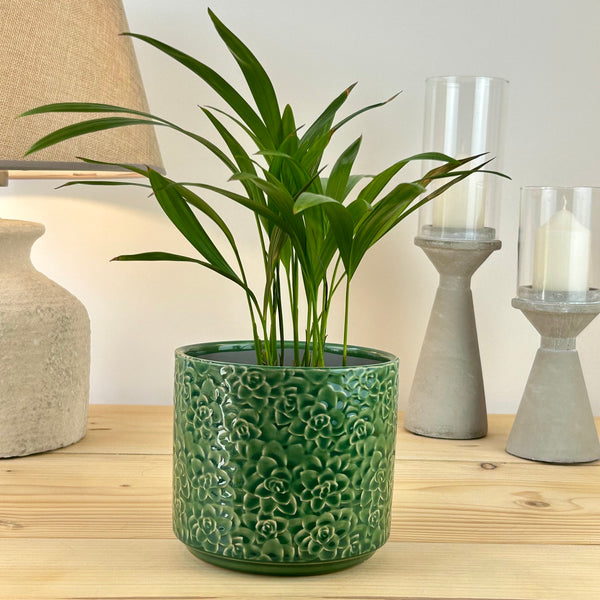 The Classic Petal Plant Pot