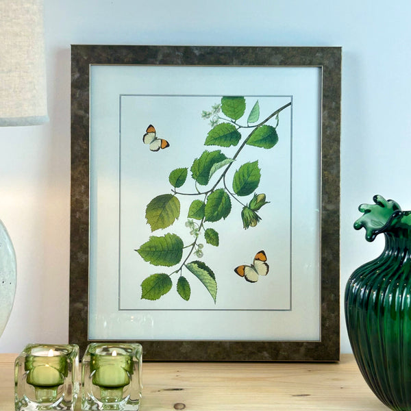 Butterfly Garden Framed Print I