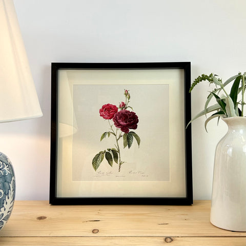 Vintage Rose Framed Print II