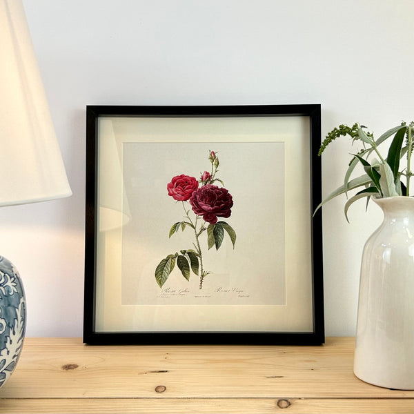 Vintage Rose Framed Print I
