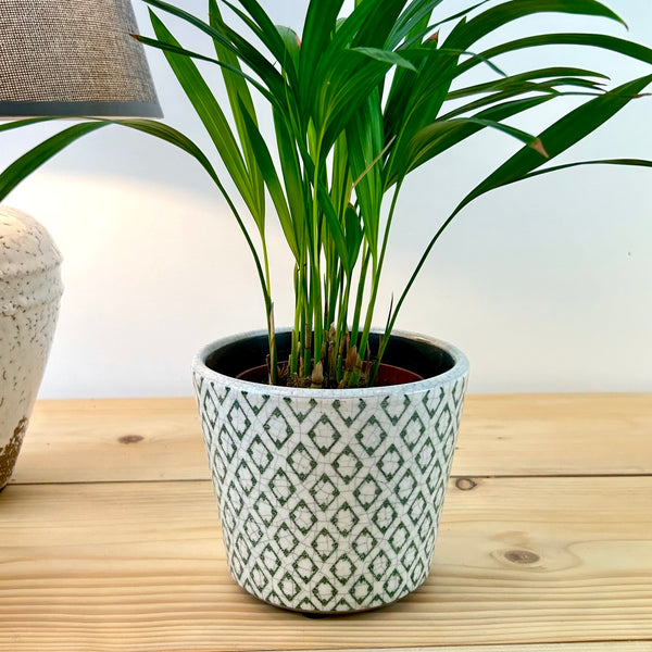 Green Rustic Plant Pot