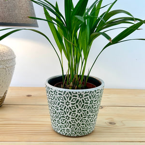 Green Rustic Plant Pot