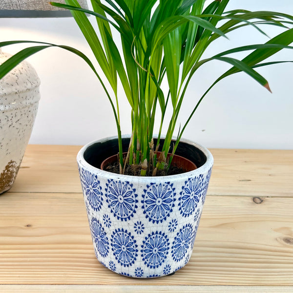 Blue Rustic Plant Pot