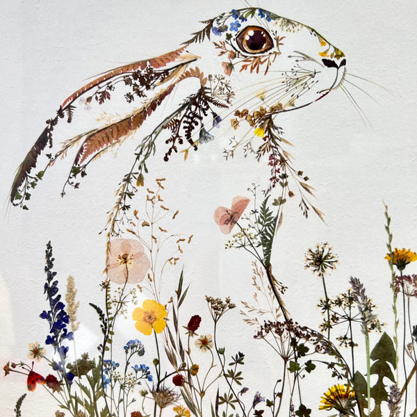 Hedgerow Hare Framed Print