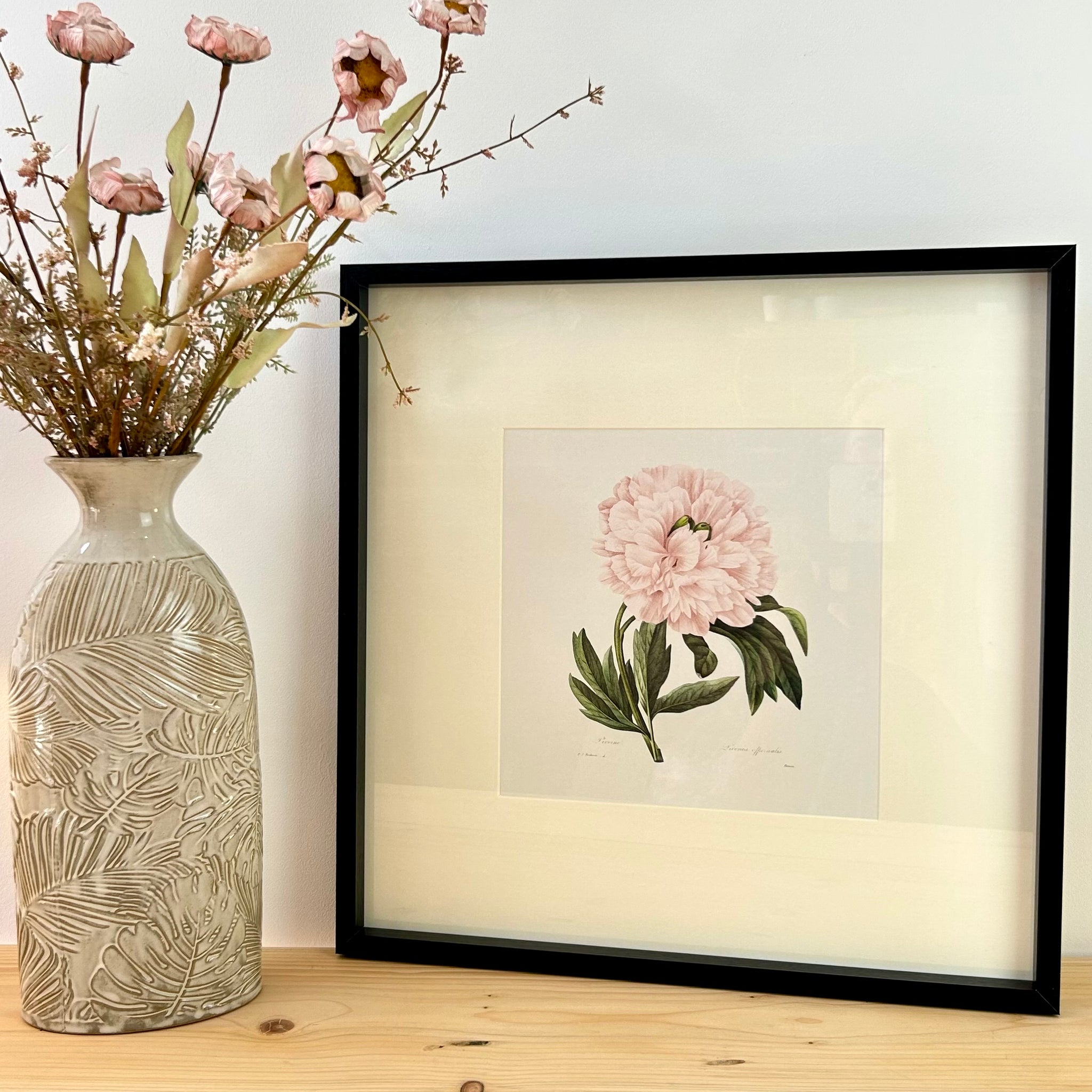 Peony Framed Print I