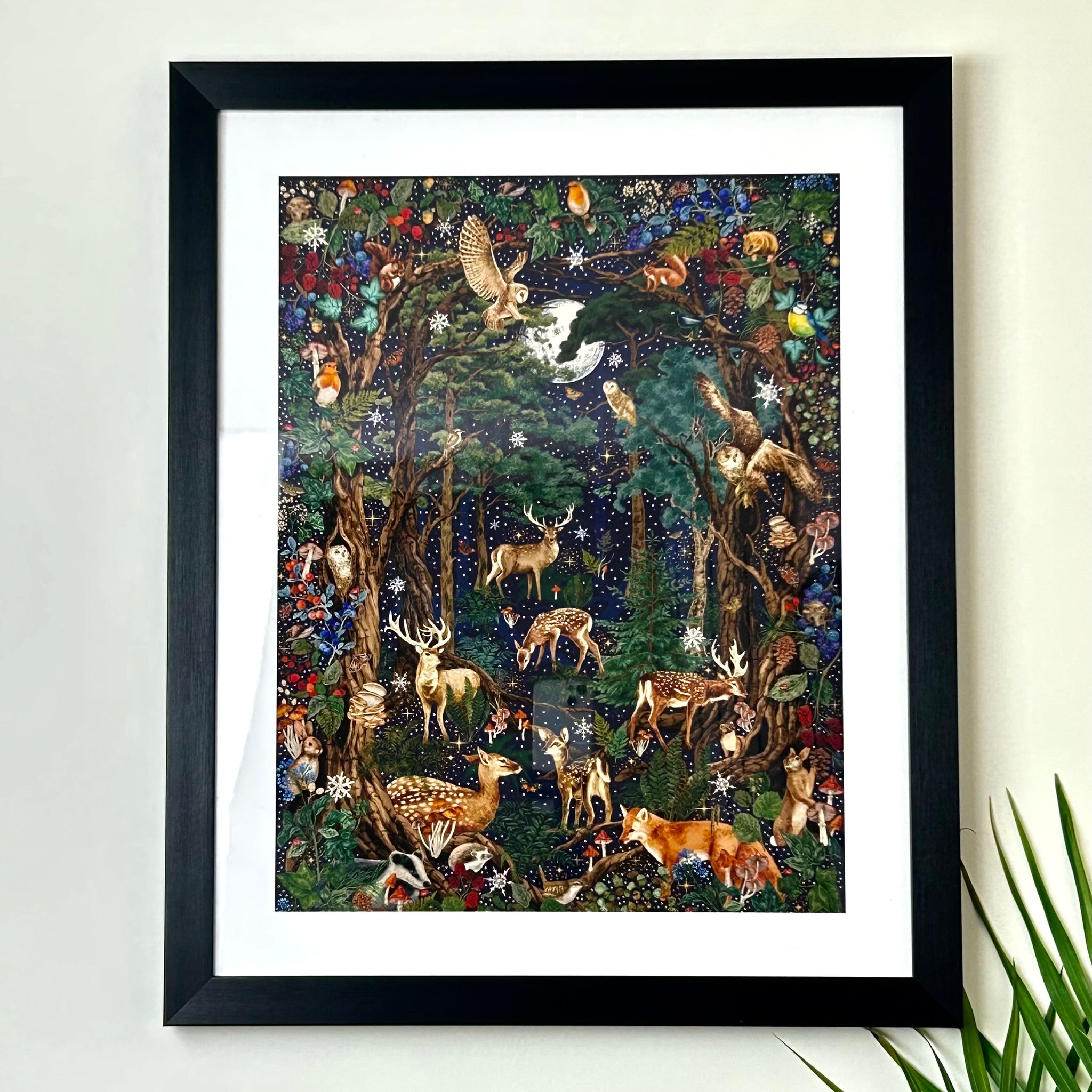 Midnight Forest Framed Print