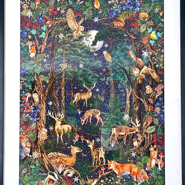 Midnight Forest Framed Print