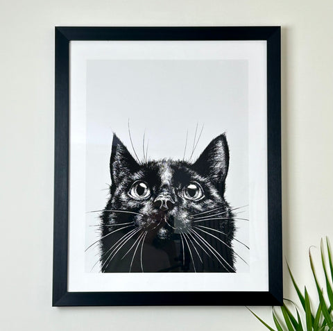 Curious Cat Framed Print