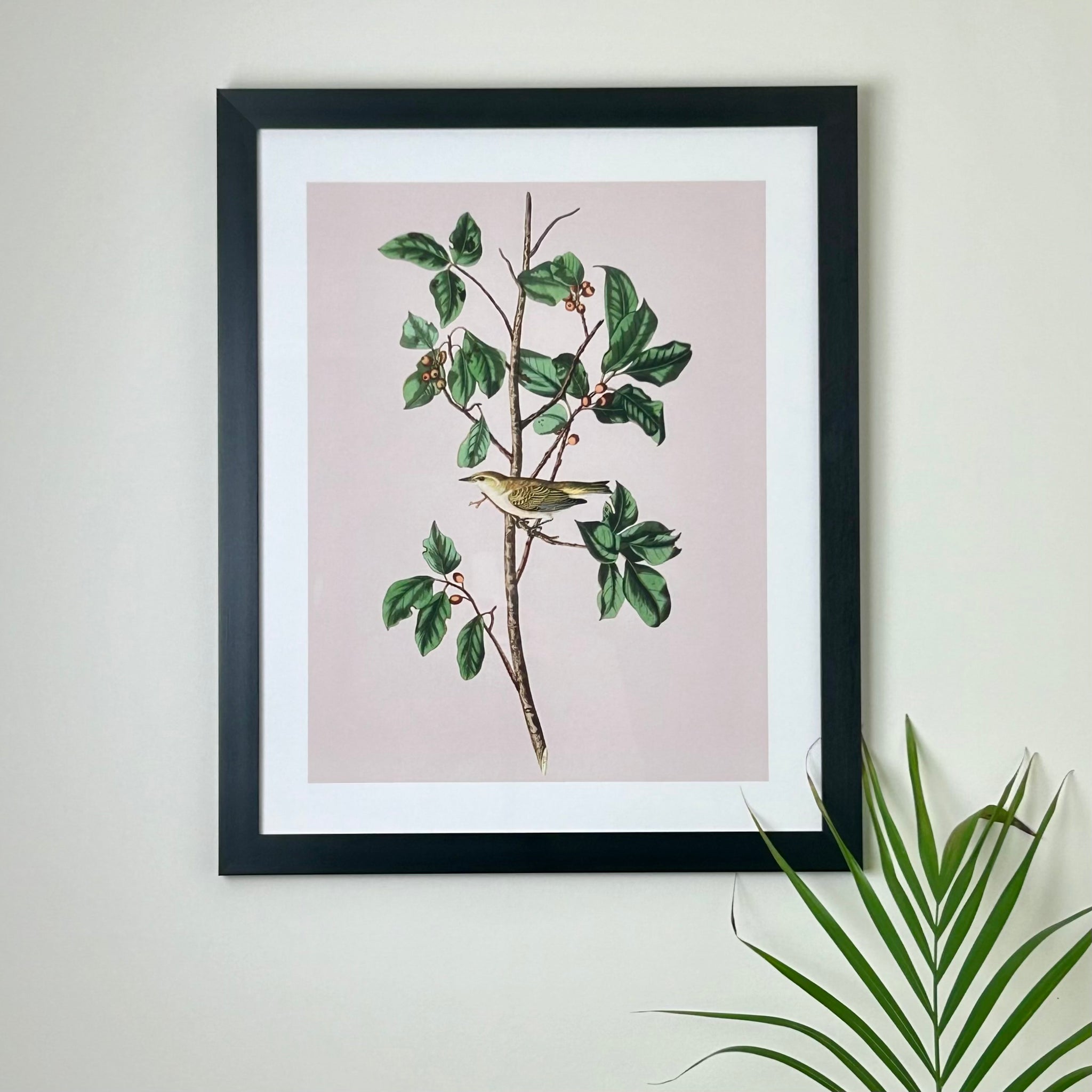 Vintage Style Bird Print