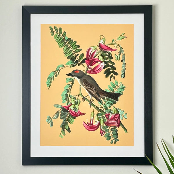 Vintage Style Tropical Bird Print